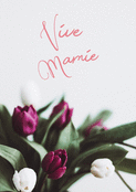 Vive Mamie et ses tulipes &eacute;l&eacute;gantes